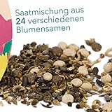 Bienenwiese Blumenmischung, 100g Premium Bienen Saatgut für bunte Bienenweide, Bienen und Hummelmagnet von OwnGrown, bienenfreundliche Blumensamen, Bienensaatgut ein- und mehrjährig - 6