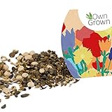 Bienenwiese Blumenmischung, 100g Premium Bienen Saatgut für bunte Bienenweide, Bienen und Hummelmagnet von OwnGrown, bienenfreundliche Blumensamen, Bienensaatgut ein- und mehrjährig - 7