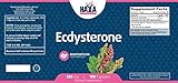 Haya Labs Ecdysterone 100 capsules x 250 mg/Starke Anabole Wirkung/Protein Stimulant / - 2