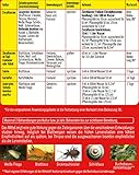 Celaflor Schädlingsfrei Careo Konzentrat, vollsystemisches Mittel mit schneller Wirkung gegen Schädlinge an Pflanzen, 100 ml - 2