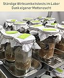 PIC Lebensmittel-Mottenfalle - Dreierpack = 6 Stück - Mittel zur Bekämpfung und Schutz vor Motten in der Küche und Lagerräumen - 5